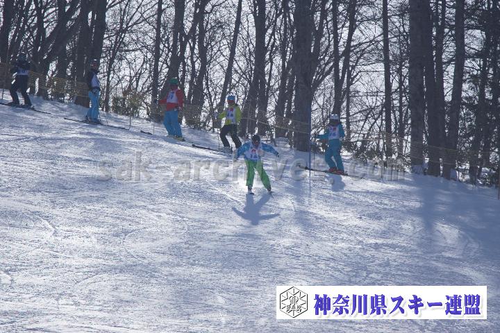 20170128_110008_0.jpg
