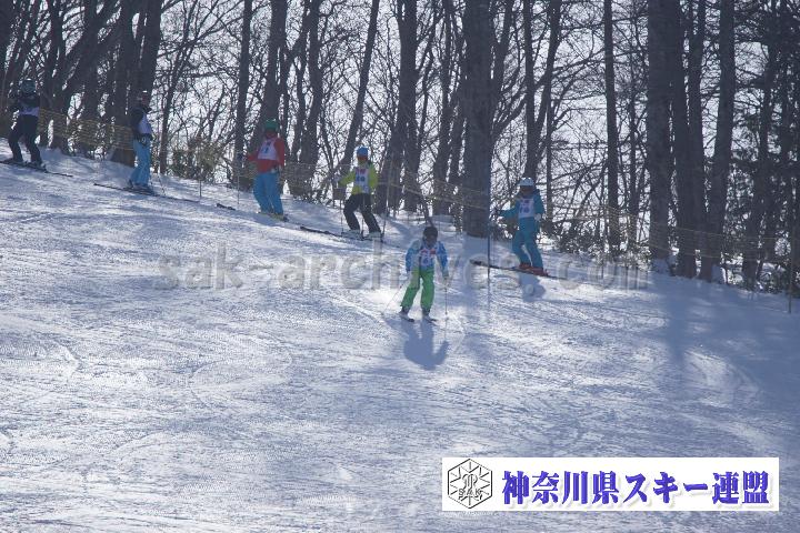 20170128_110008_1.jpg