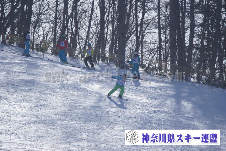 20170128_110009_0.jpg