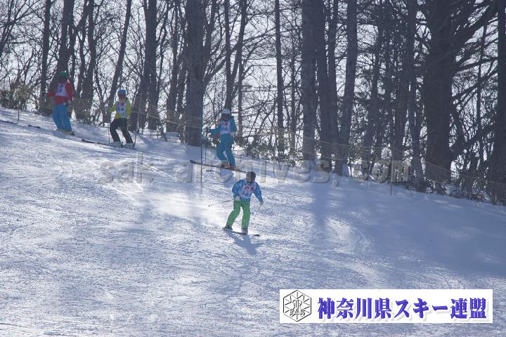 20170128_110009_1.jpg
