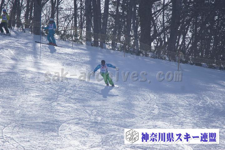 20170128_110010_0.jpg