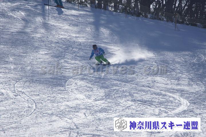 20170128_110011_0.jpg