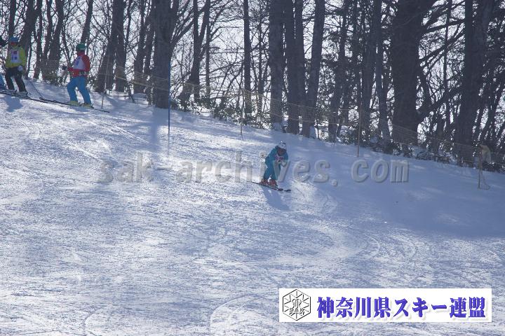 20170128_110037_0.jpg