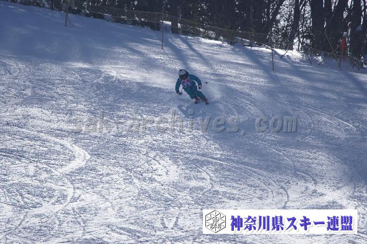 20170128_110039_1.jpg