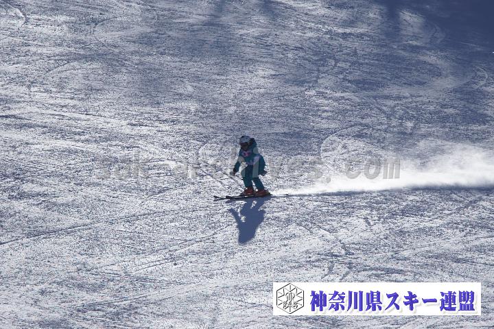 20170128_110040_2.jpg