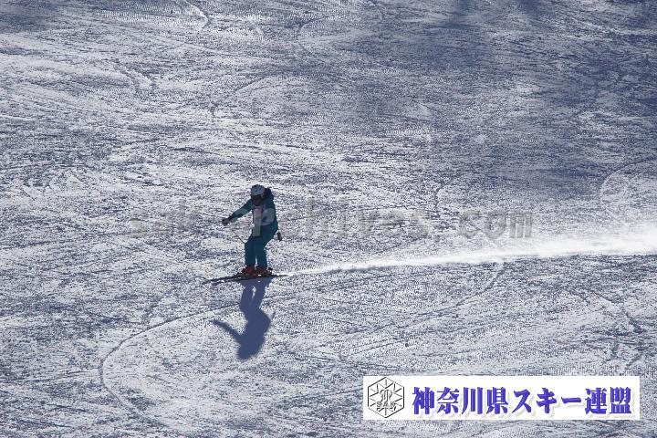 20170128_110041_0.jpg