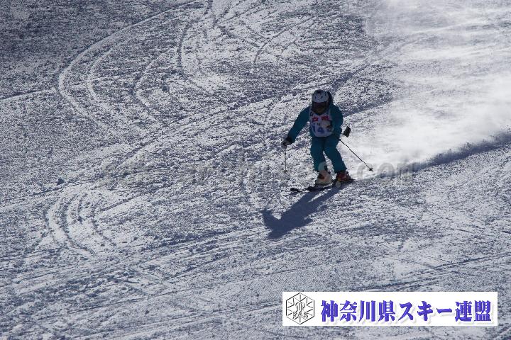 20170128_110045_1.jpg