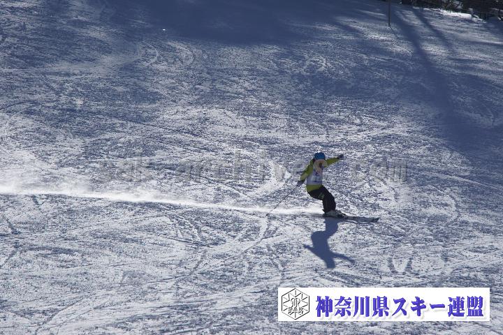 20170128_110118_2.jpg