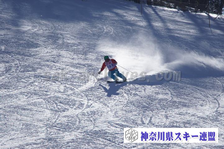 20170128_110246_0.jpg