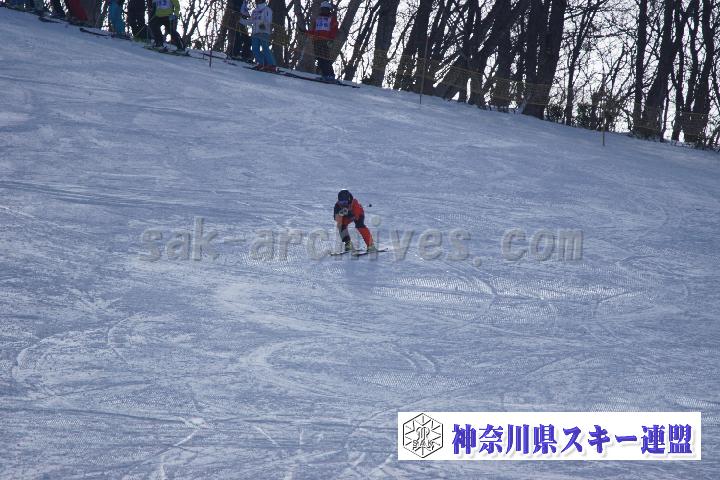 20170128_104537_0.jpg
