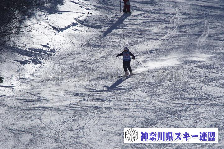 20170128_111131_0.jpg