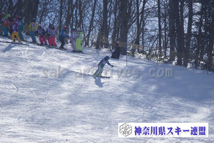 20170128_111200_0.jpg