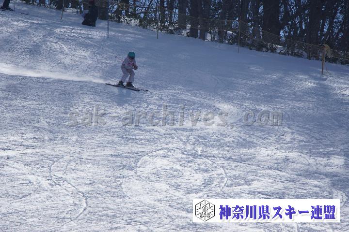 20170128_111336_0.jpg