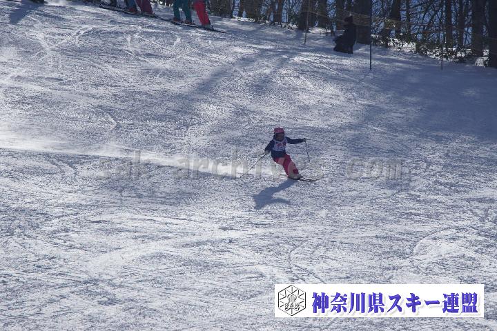 20170128_111438_0.jpg