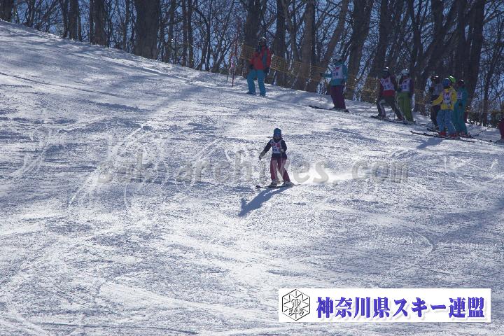 20170128_111721_0.jpg