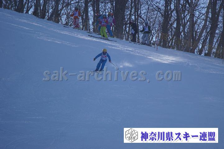 20170128_094306_0.jpg