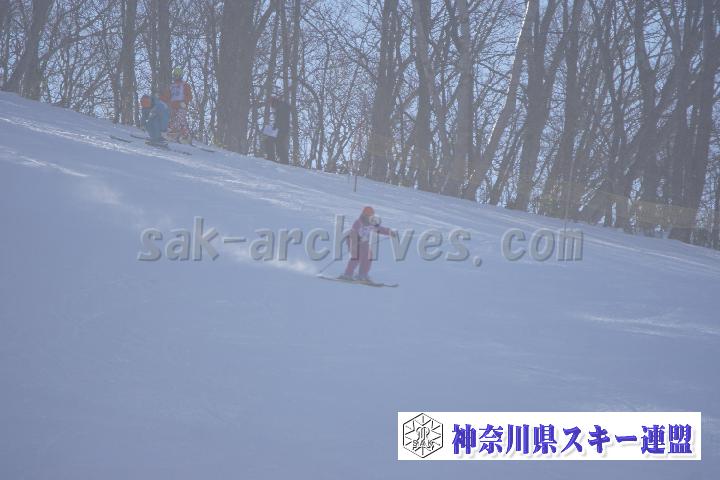 20170128_094508_1.jpg