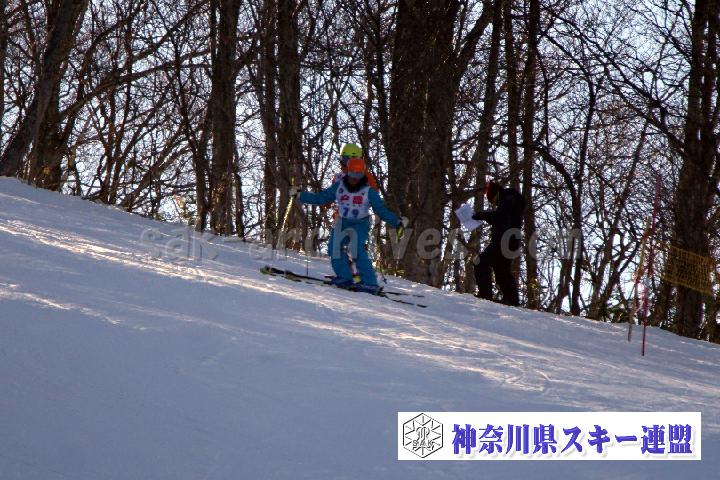 20170128_094531_0.jpg