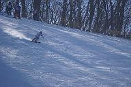 20170128_100300_0