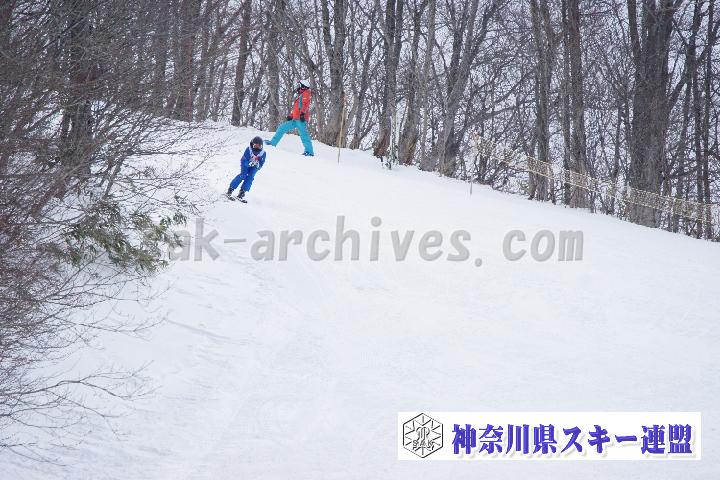 20170129_120814_0.jpg