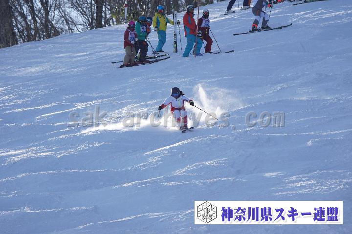 20170129_091550_0.jpg