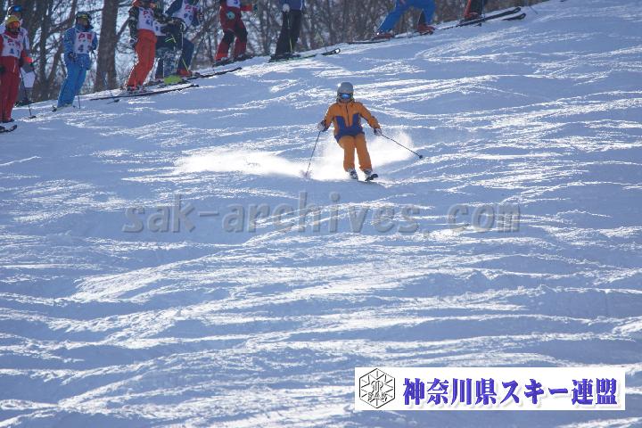 20170129_100213_1.jpg