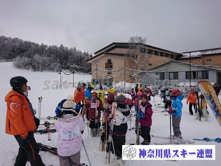 170218_114606_h.jpg