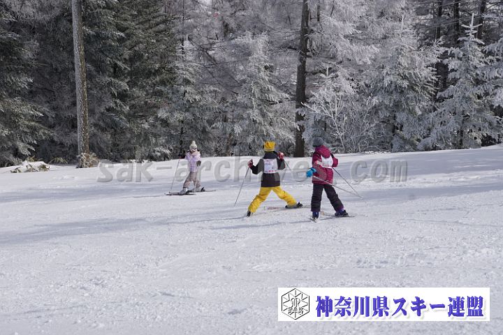170218_124230_0.jpg