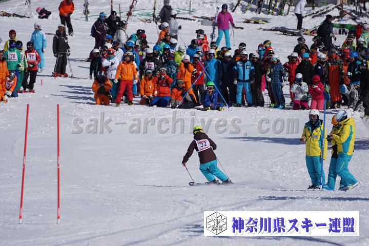 170304_134558_0.jpg