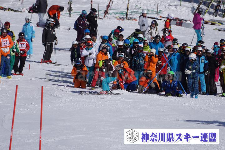 170304_134603_0.jpg