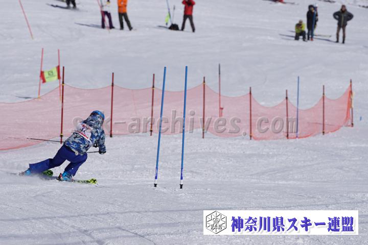 170304_134806_0.jpg