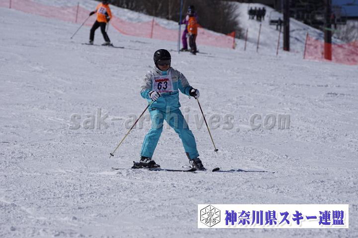 170304_121204_0.jpg