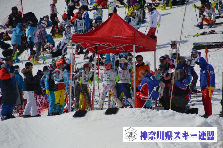 20170304_114314_0.jpg