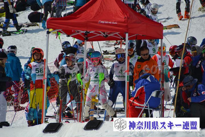 20170304_114320_0.jpg