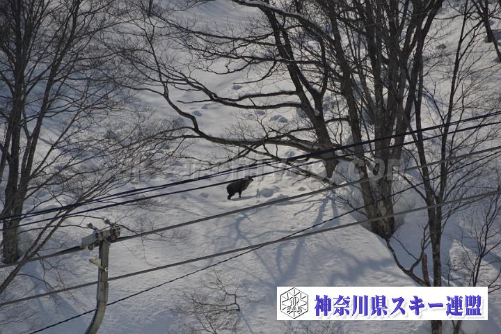 20170304_120005_0.jpg
