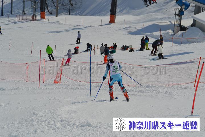 20170304_120520_1.jpg
