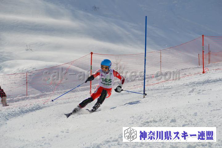 20170304_132647_1.jpg