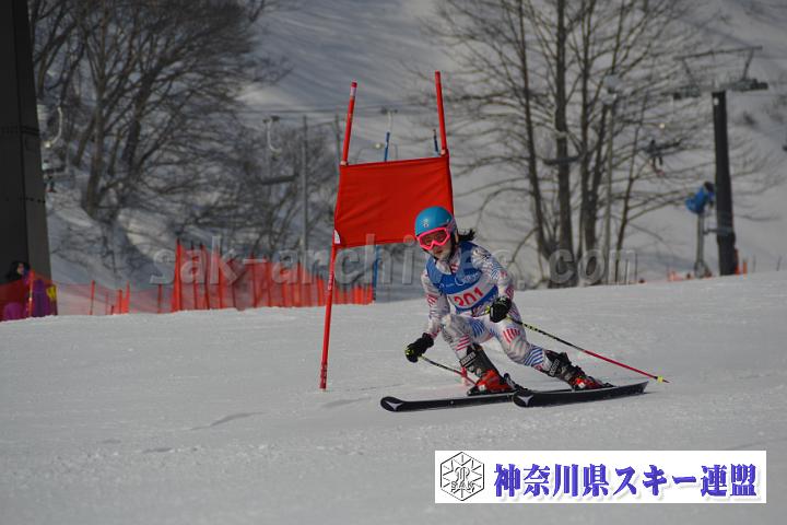 20170305_090044_0.jpg