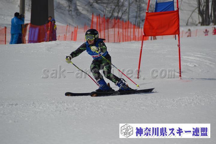 20170305_093115_1.jpg