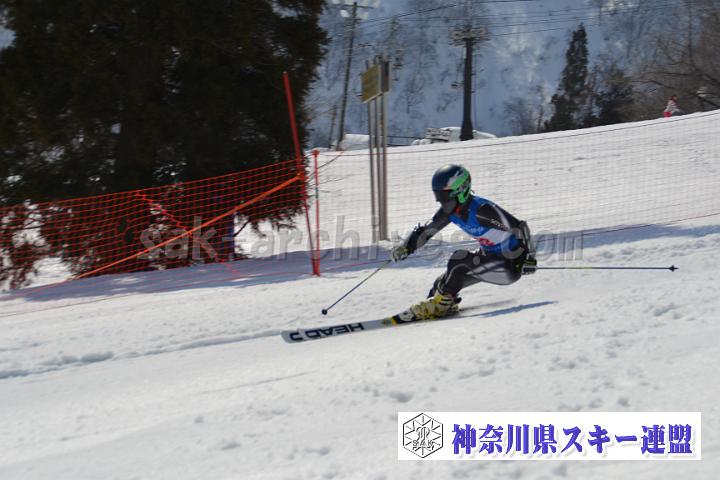 20170305_110242_0.jpg