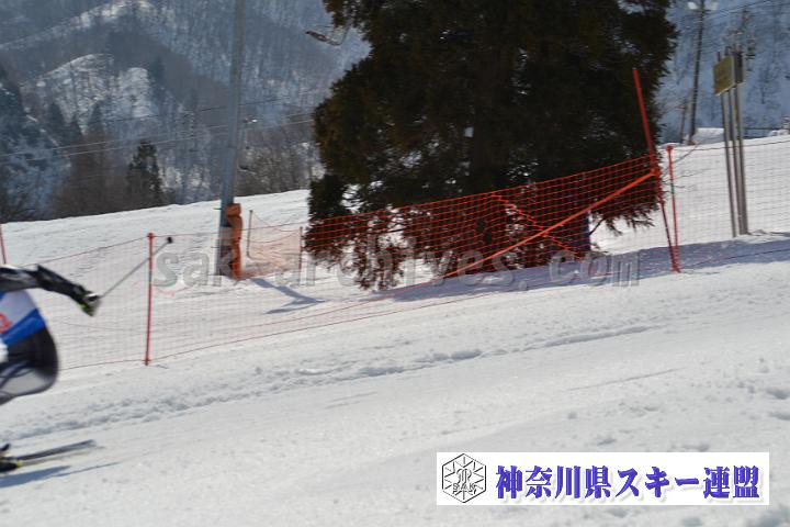20170305_110242_1.jpg