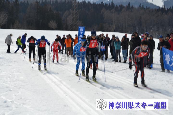 20170305_130012_0.jpg