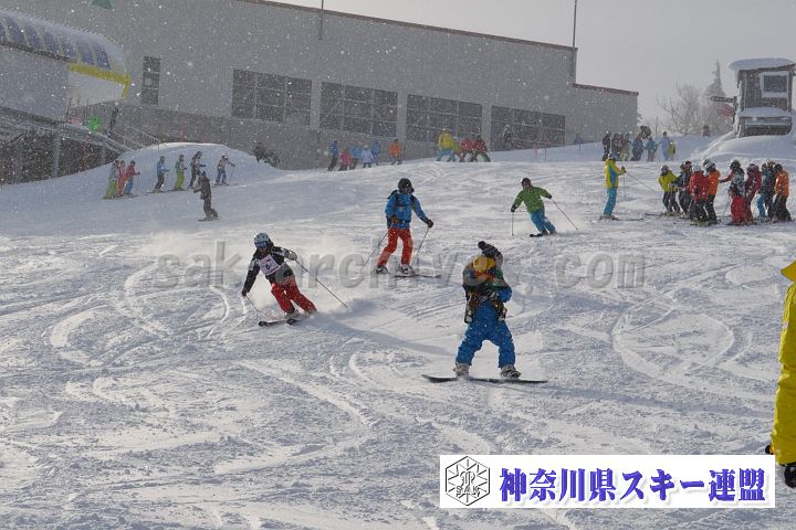 20161216_104947_0.jpg