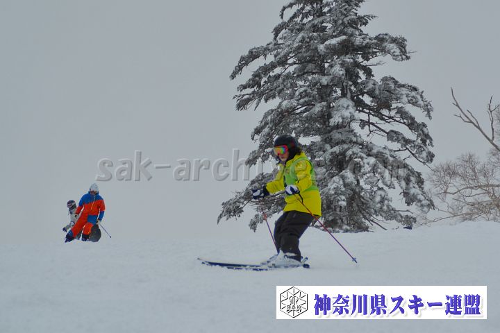 20161217_120208_0.jpg