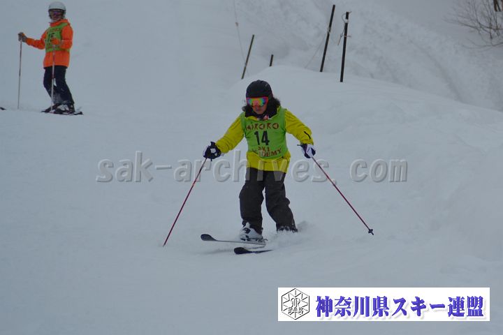 20161217_121840_0.jpg