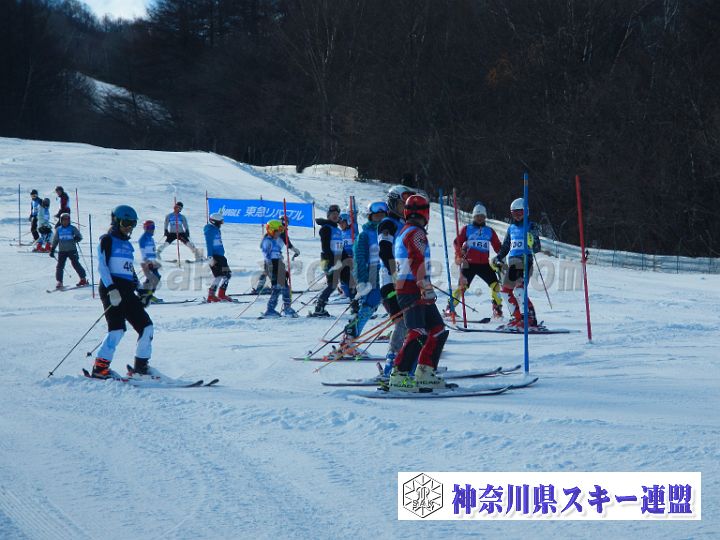 20171223_115013_0.jpg
