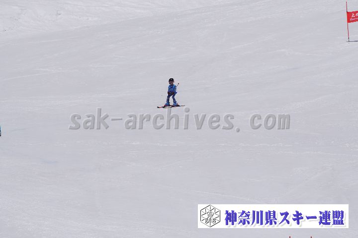 180304_112059_0.jpg