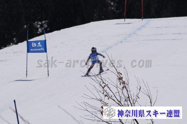 180304_113120_1.jpg