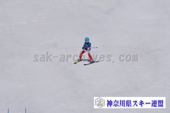 180304_113143_0.jpg