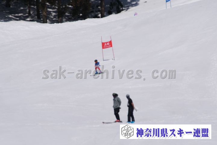 180304_113215_1.jpg